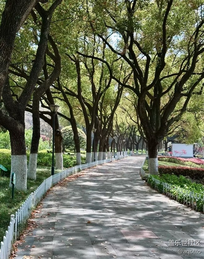 【踏青閑步】春和景明