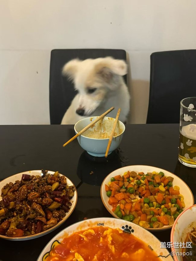 【春肴集】飯搭子