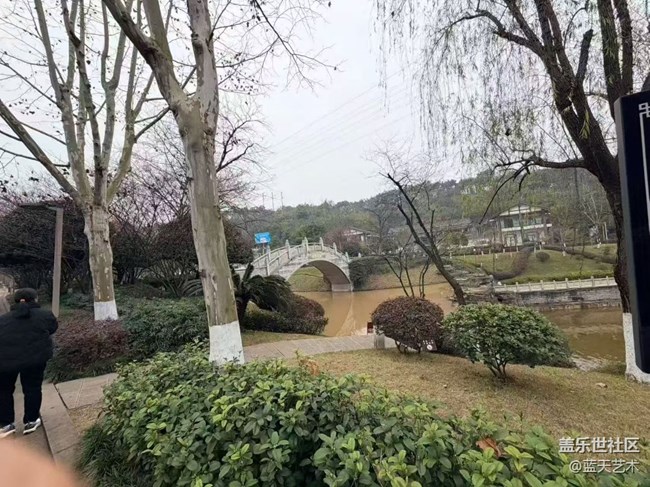 【踏青閑步】公園花開