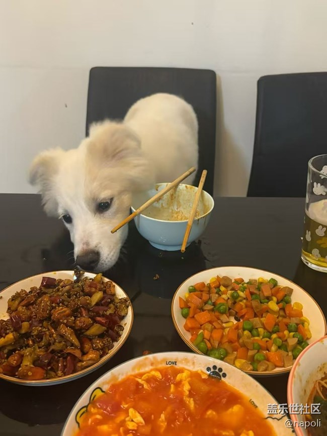 【春肴集】飯搭子