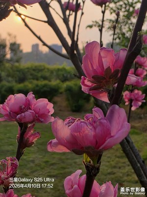 宋家洲公園自拍