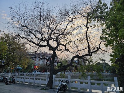 【行走的風(fēng)景】街角隨拍