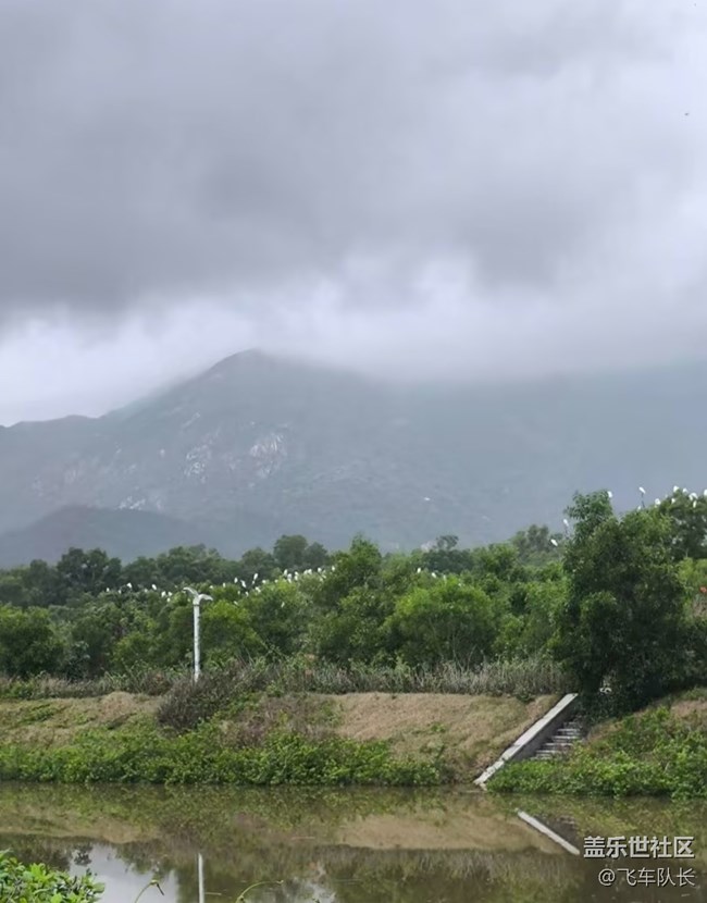 【踏青閑步】鳥兒