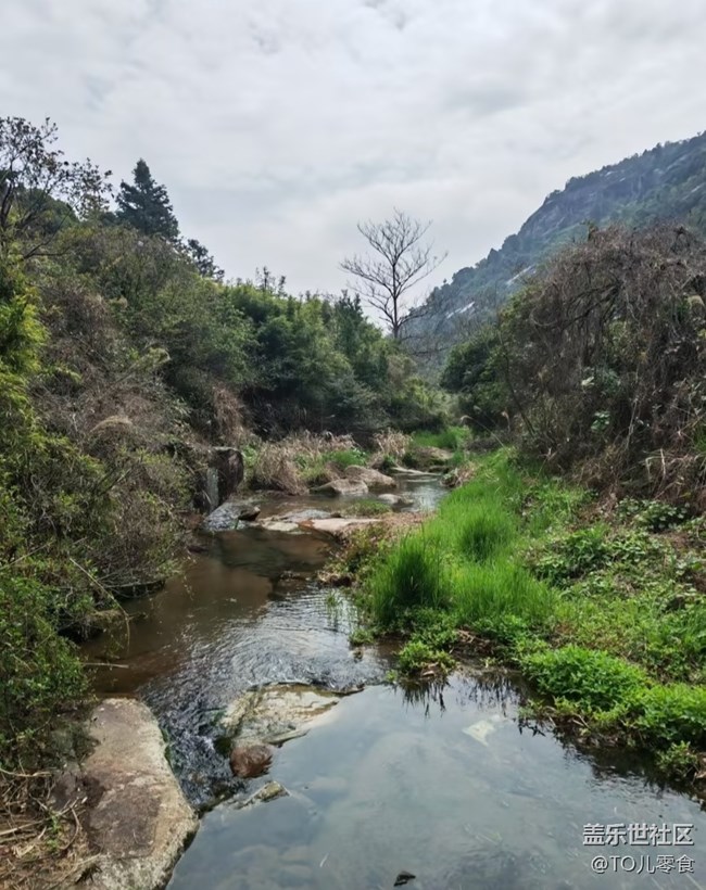 【踏青閑步】上山