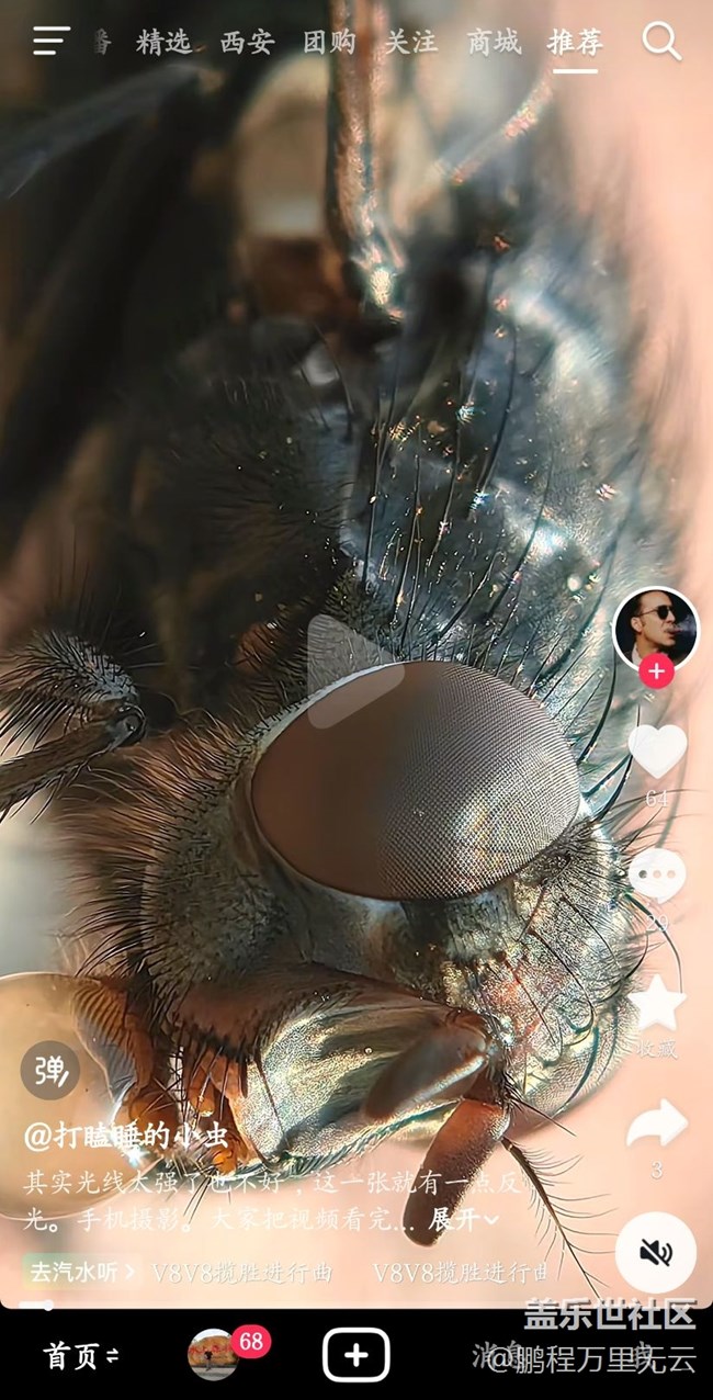 長(zhǎng)焦鏡頭