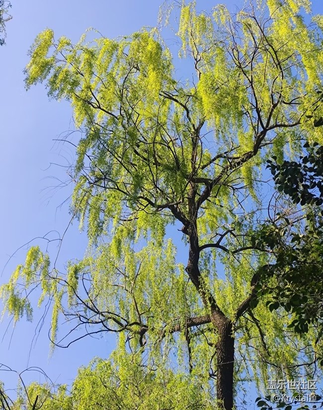 【踏青閑步】最美四月天