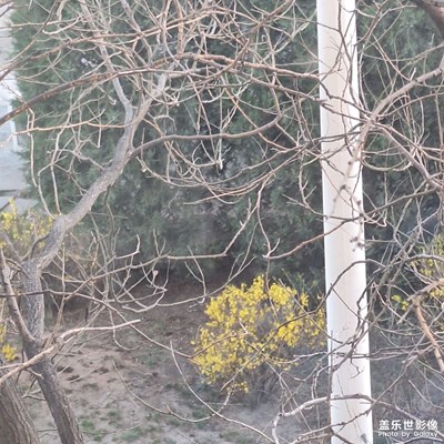 古老的建筑