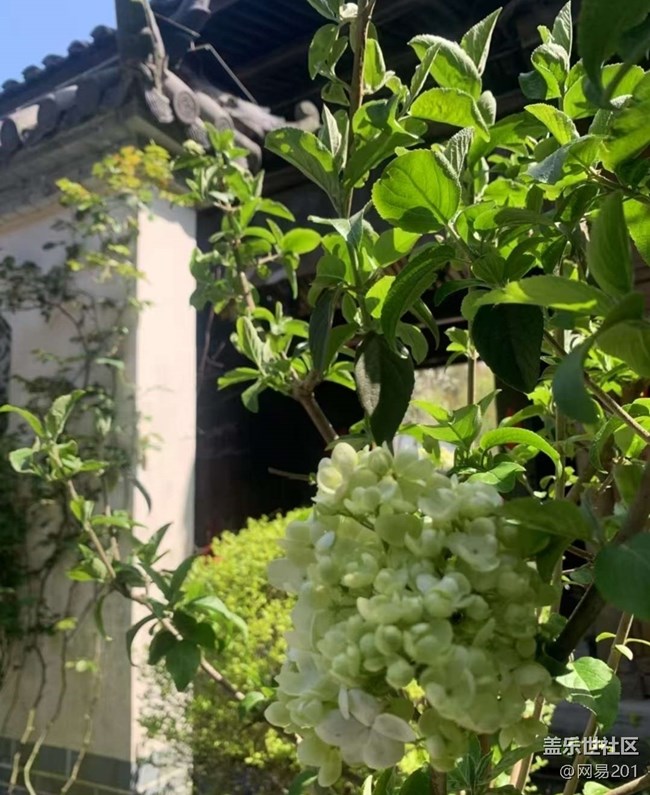 【踏青閑步】賞花