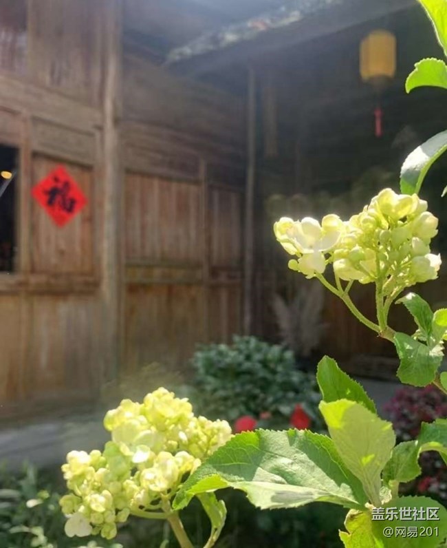 【踏青閑步】賞花