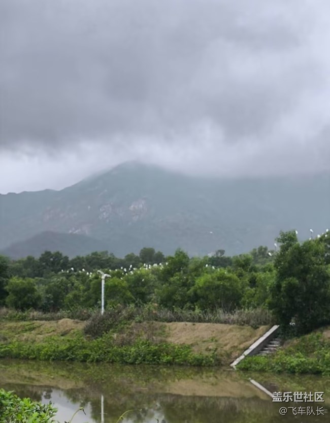【踏青閑步】鳥兒