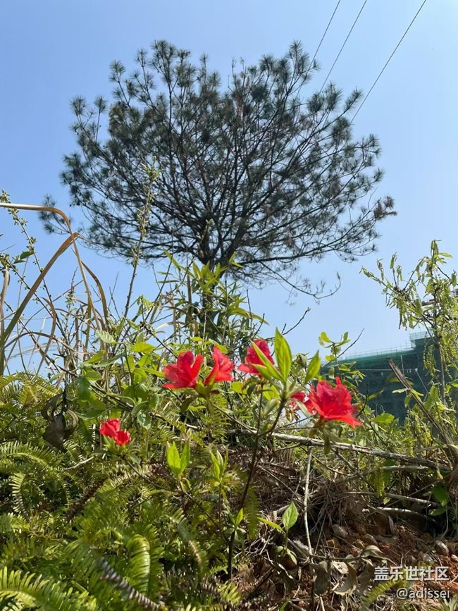 【踏青閑步】有點(diǎn)熱