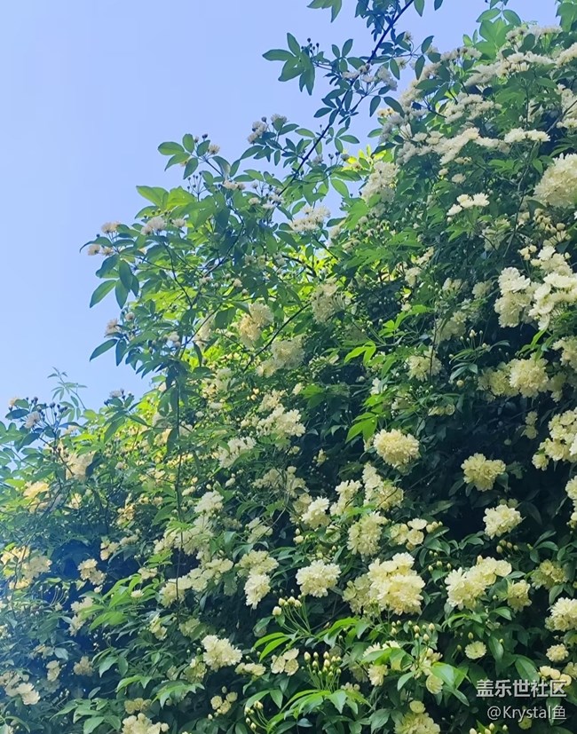 【踏青閑步】最美四月天