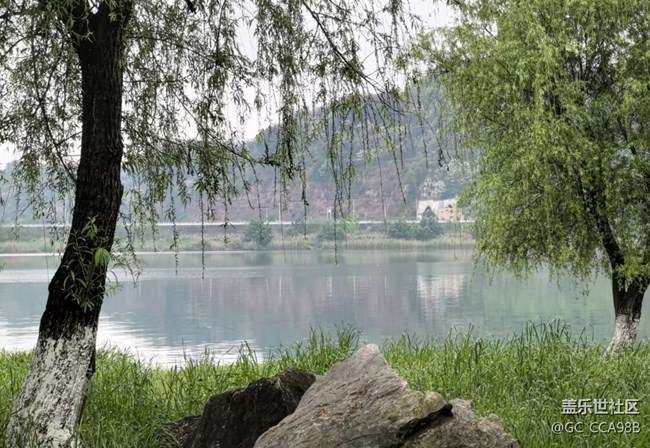 【踏青閑步】春風(fēng)又綠江南岸