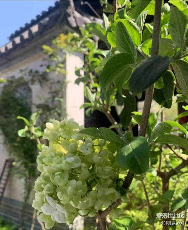 【踏青閑步】賞花