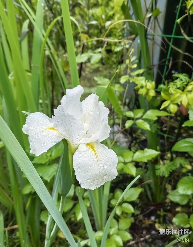 【踏青閑步】綠色春天
