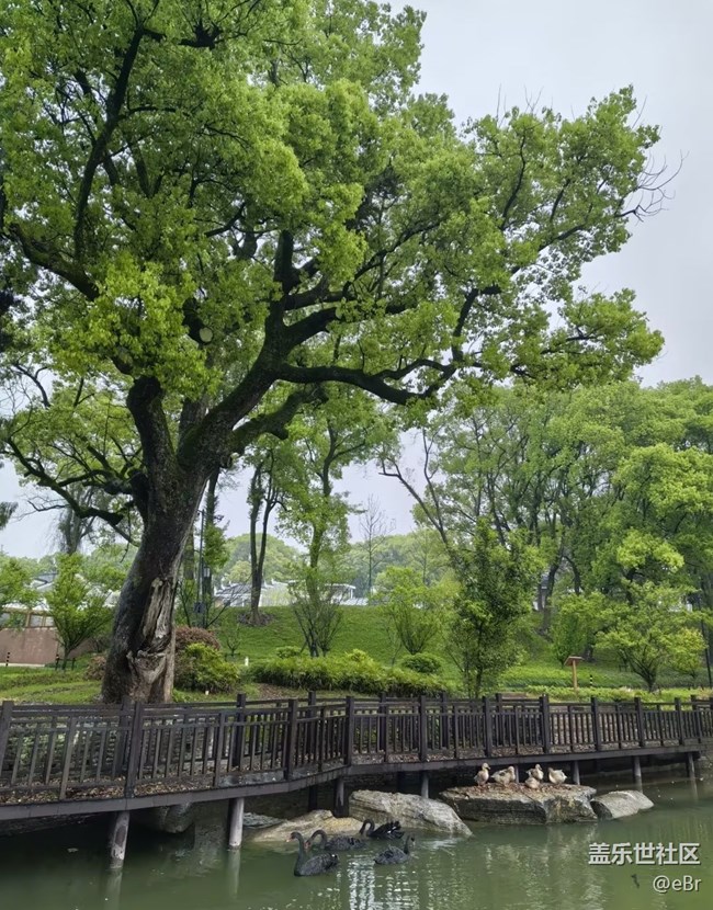 【踏青閑步】綠色春天