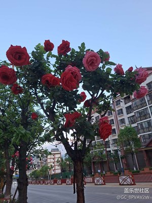 隨拍隨記