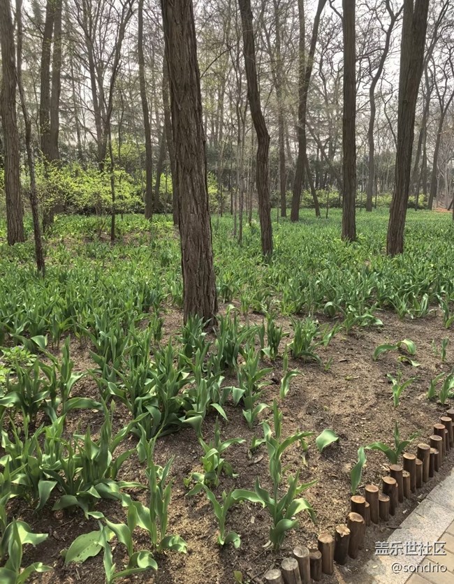 【踏青閑步】植物園