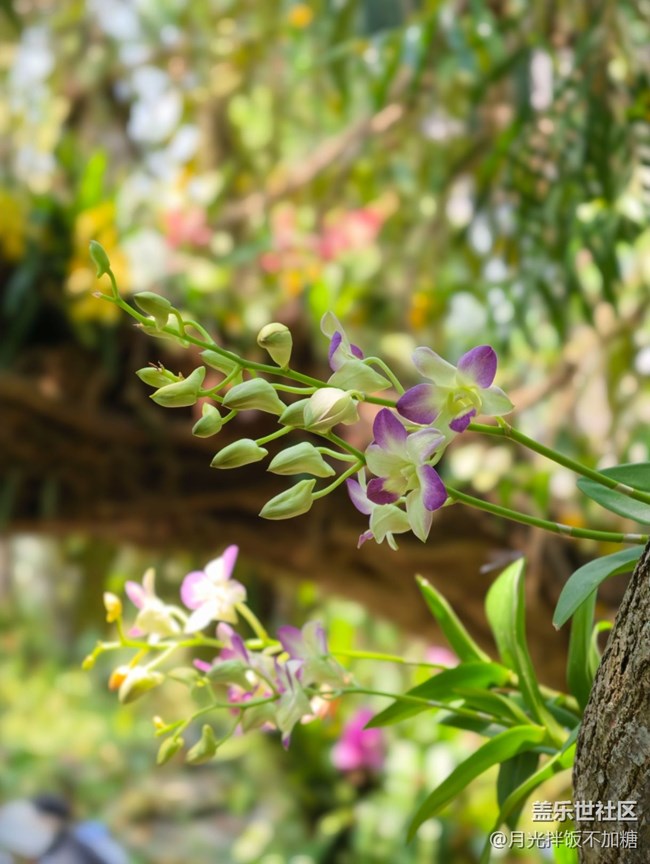 【踏青閑步】植物園