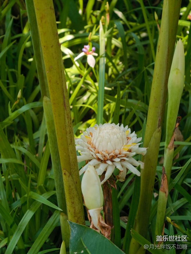 【踏青閑步】植物園