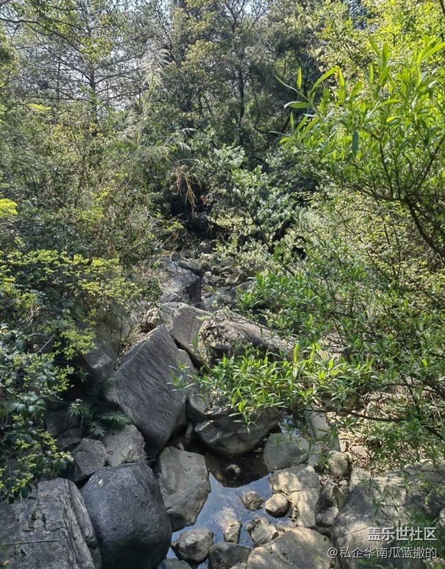【踏青閑步】自然美景