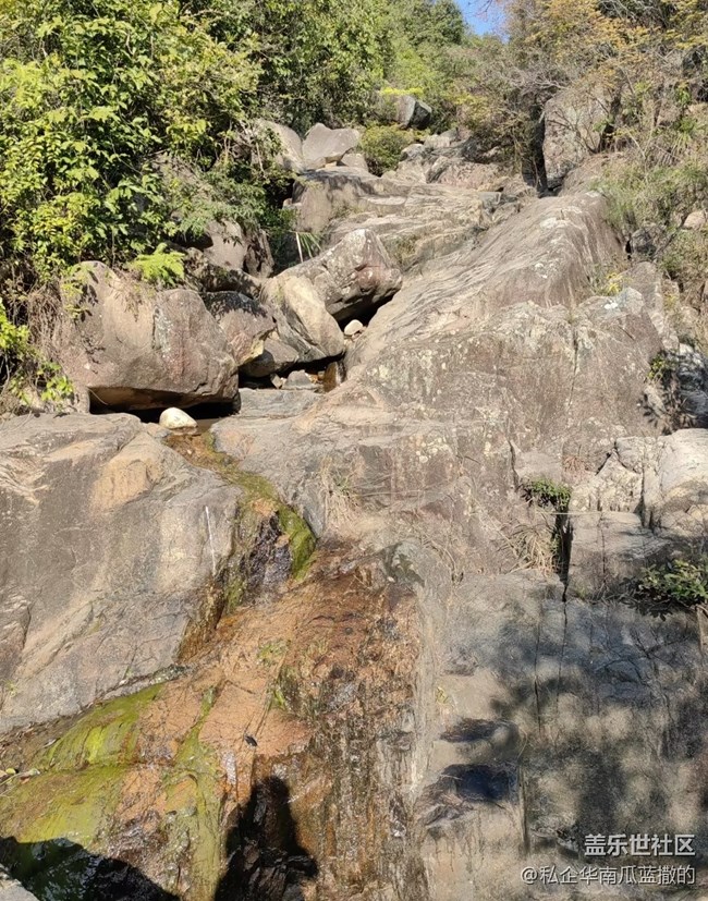【踏青閑步】自然美景