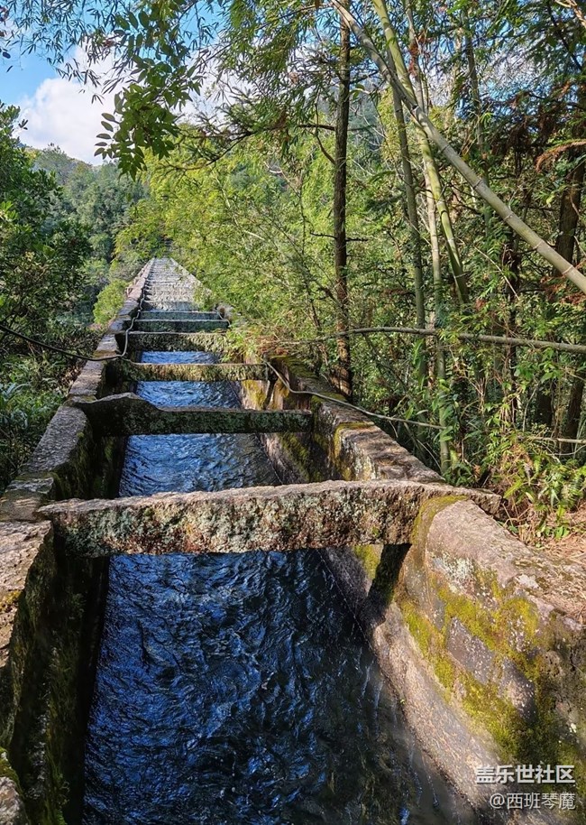 【踏青閑步】春日登山