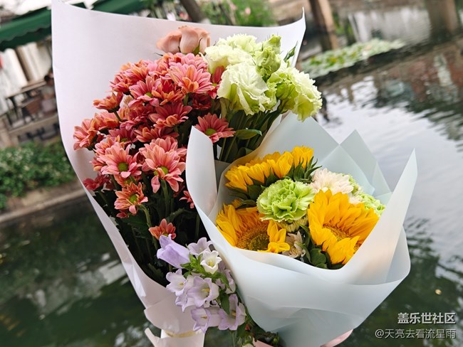 【拾光漫步】晚上散步逛逛街，白天散步買束花