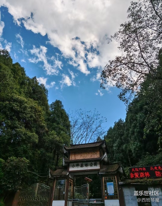【踏青閑步】春日登山