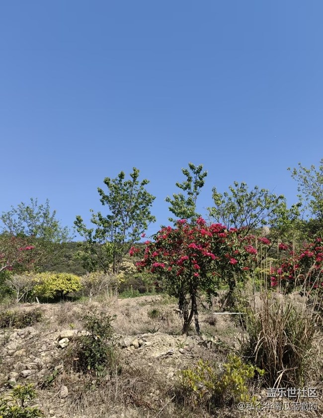 【踏青閑步】自然美景