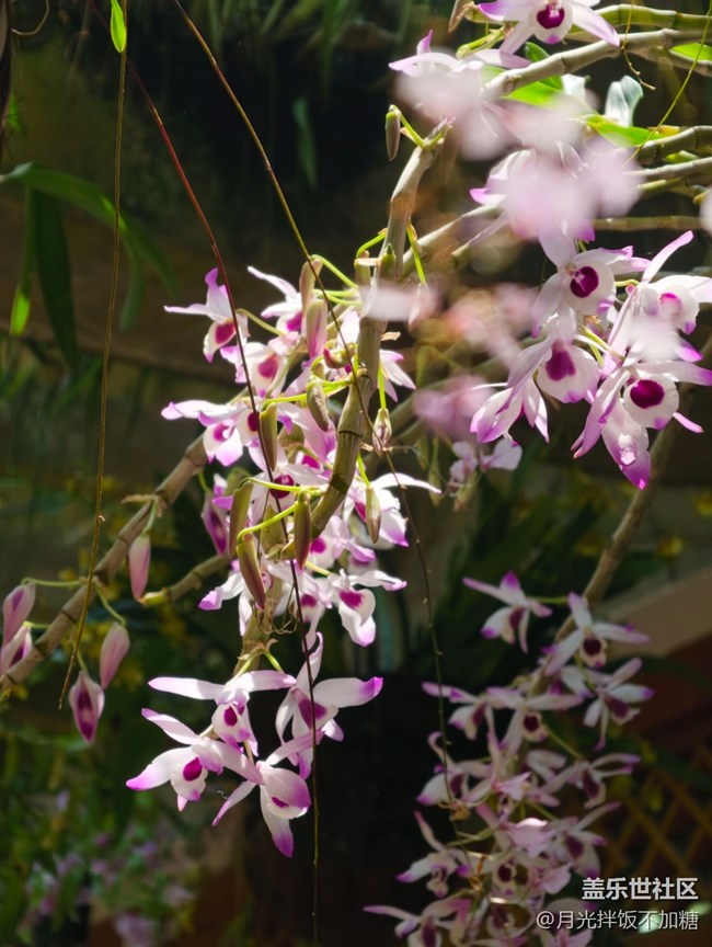 【踏青閑步】植物園