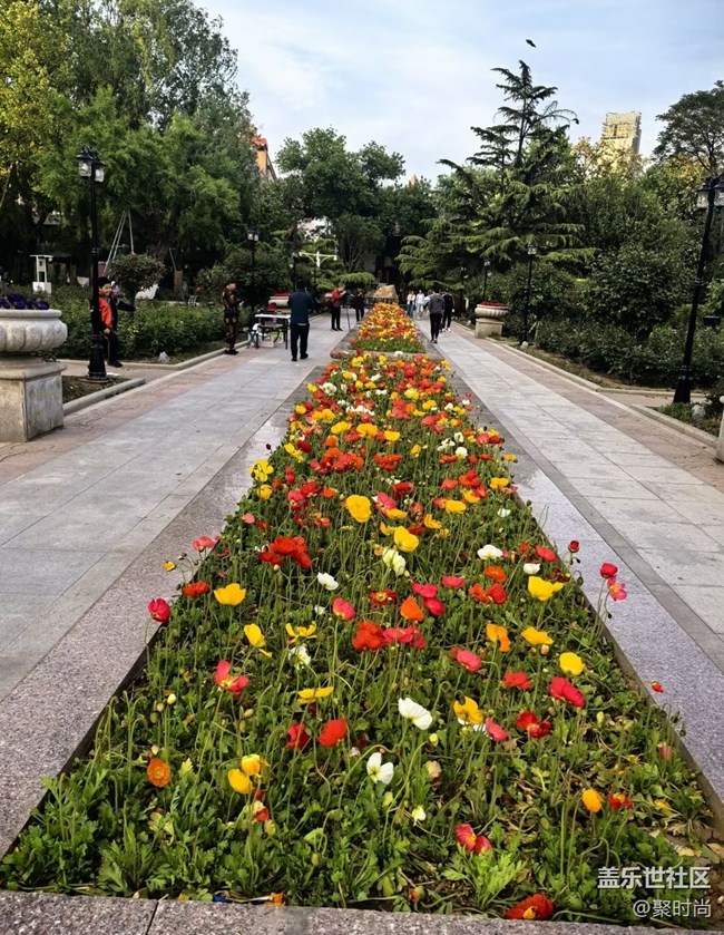 【踏青閑步】閑步公園