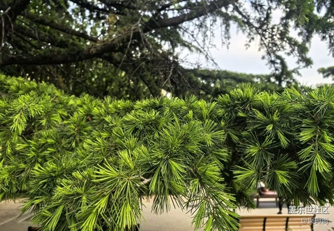 【踏青閑步】閑步公園