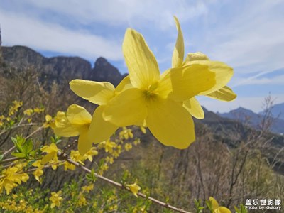 【行走的風(fēng)景】登山徒步正當(dāng)時
