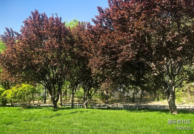 【踏青閑步】閑步公園
