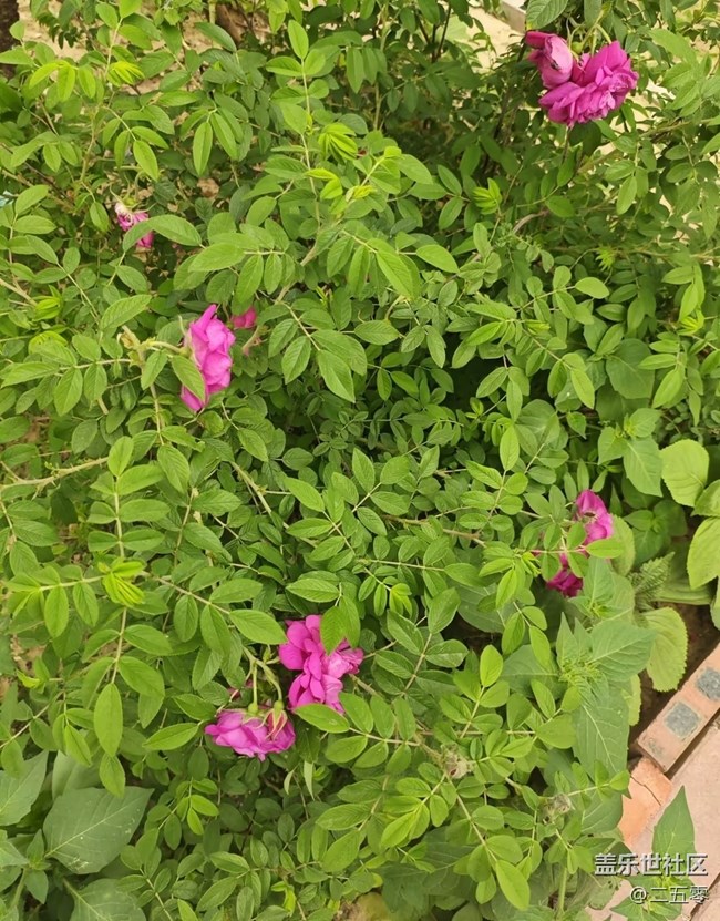 【踏青閑步】擁抱自然