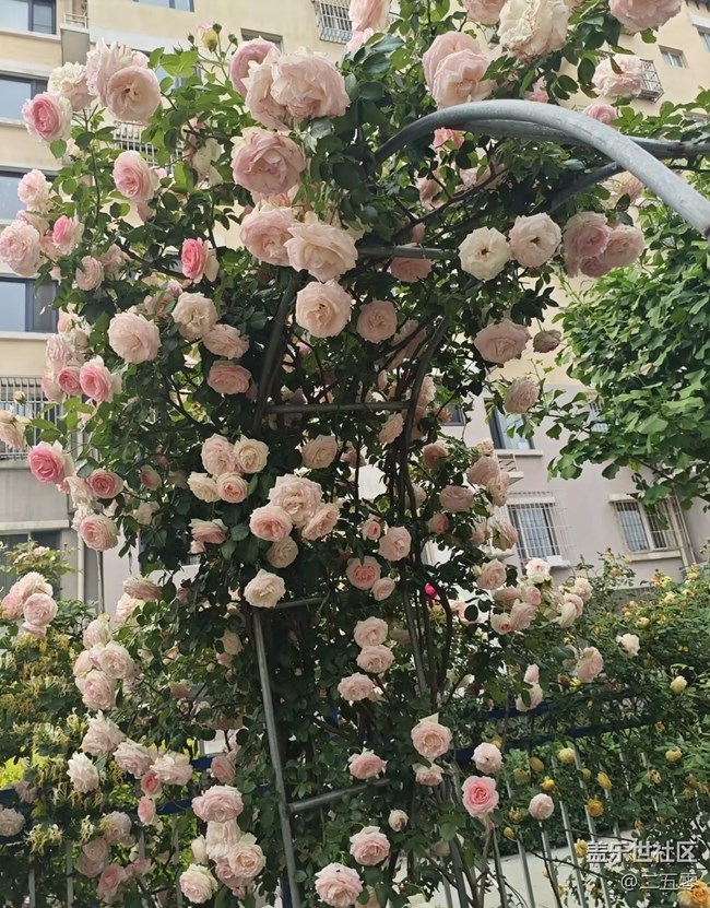 【踏青閑步】擁抱自然
