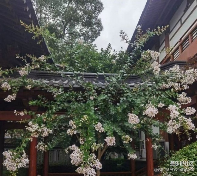 【踏青閑步】雨后
