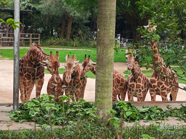 【踏青閑步】動物園