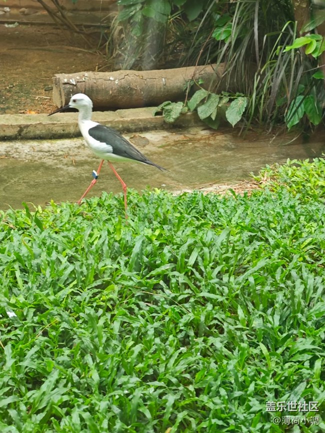 【踏青閑步】動物園