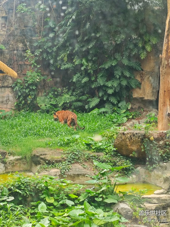 【踏青閑步】動物園