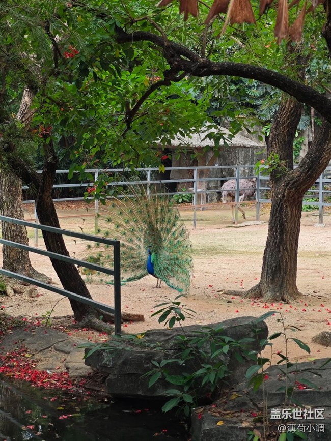 【踏青閑步】動物園