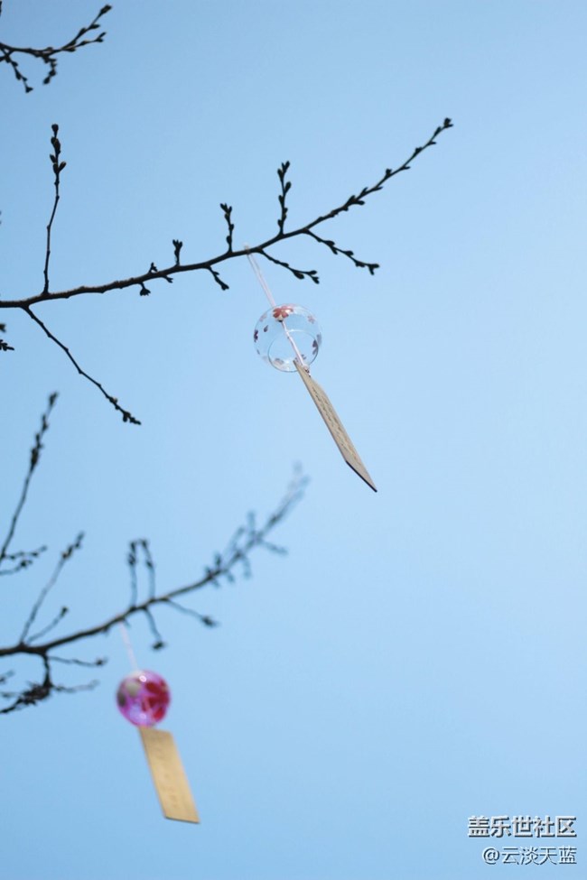 【踏青閑步】花影