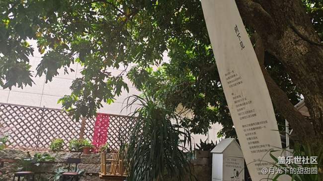 【踏青閑步】走走停停