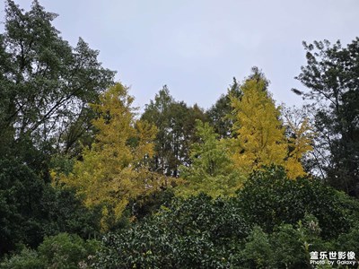 【行走的風(fēng)景】邊走邊拍