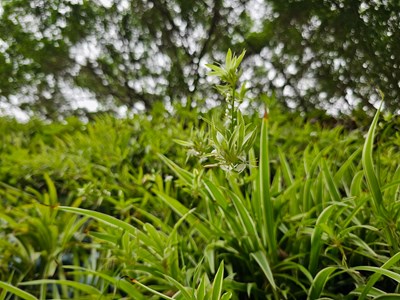 【行走的風(fēng)景】陽(yáng)光正好