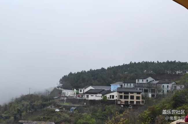 【踏青閑步】春日之約