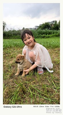 今天添加了一個新成員