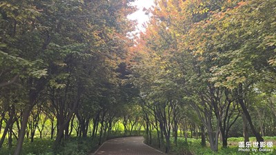【聚焦四月】公園色彩