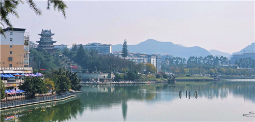 莲花湖的春日小美好